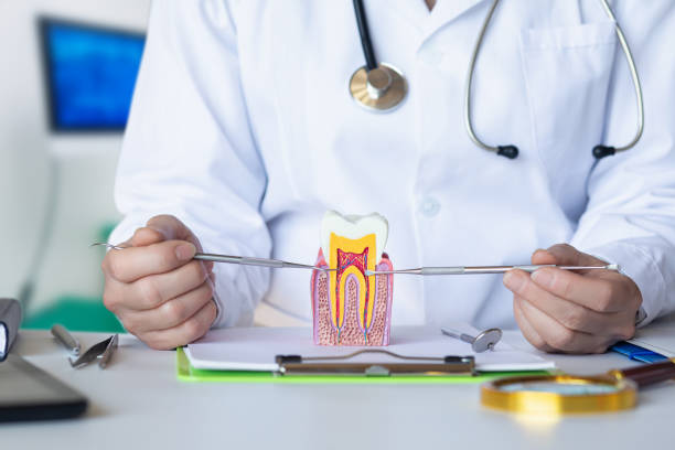 Best Emergency Root Canal Treatment in Independence, WI